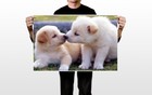 Foto 2 di 4