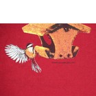 Foto 3 di 4