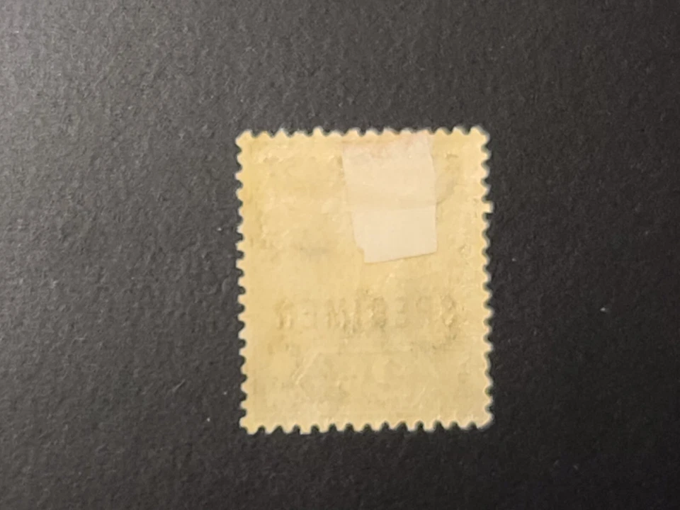 GOLD COAST KEVII SPECIMEN STAMP TWO AND HALF PENCE 2 1/2d MINT Nice Specimen - Image 2 of 2