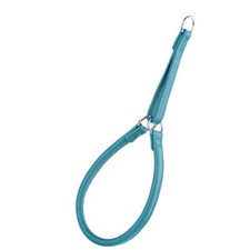 Dog Pet Round Leather Martingale Collar W1/2" - L24", Teal