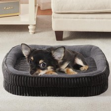 Orthopedic Dog Bed for Puppy,Extra Small Dogs Breeds,Oval Cat Bed,High Densit...