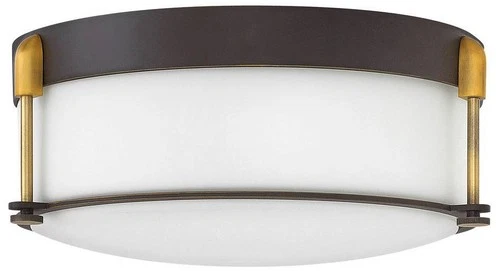 Hinkley Colbin 16 1/2" Wide Oil-Rubbed Bronze Ceiling Light - Picture 1 of 2