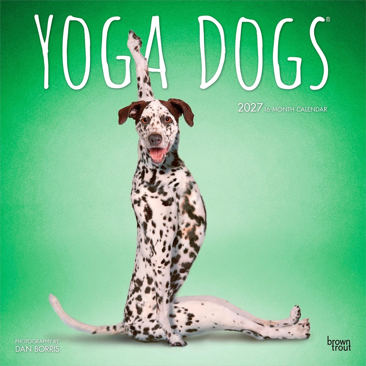 Yoga Dogs Calendar 2027 - Image 3