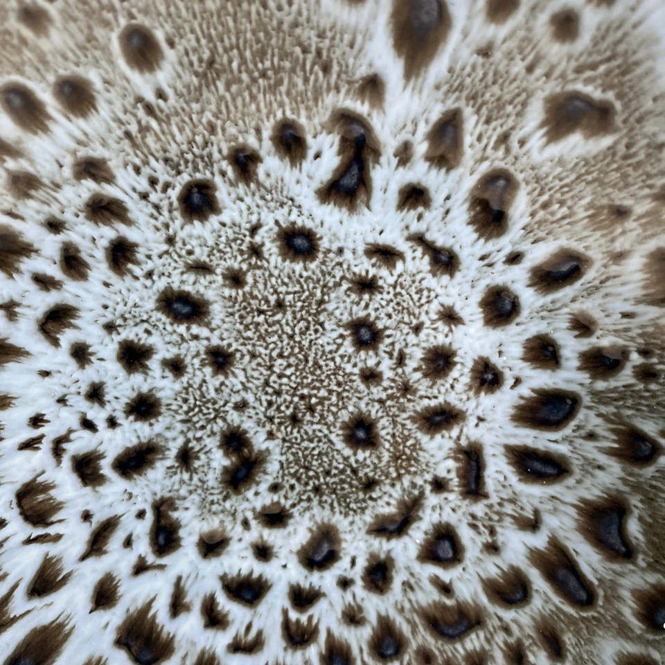 Poole Pottery - Blue Lace - Decorative Bowl - 24cm - Guy Sydenham & Tony Morris - Image 3 of 4