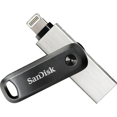 SanDisk IXPAND FLASH DRIVE GO, Memory Stick 256 GB USB-Stick Silber/schwarz