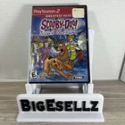 Scooby-Doo Night of 100 Frights PS2 Tested Case & Disc Only