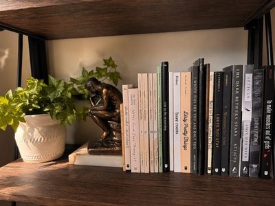 24 Book Poetry Collection Bundle | R.H. Sin, Atticus, Pillow Thoughts + More