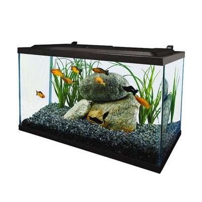 Tetra 10 Gallon LED Aquarium Kit Glass Tank w/ Filter Hood & Starter Set