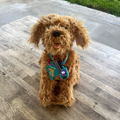 Skyrocket Moji the Lovable Labradoodle Interactive Toy