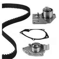 Metelli Wasserpumpe + Zahnriemensatz FüR Renault Megane Ii BM0/1_ CM0/1_