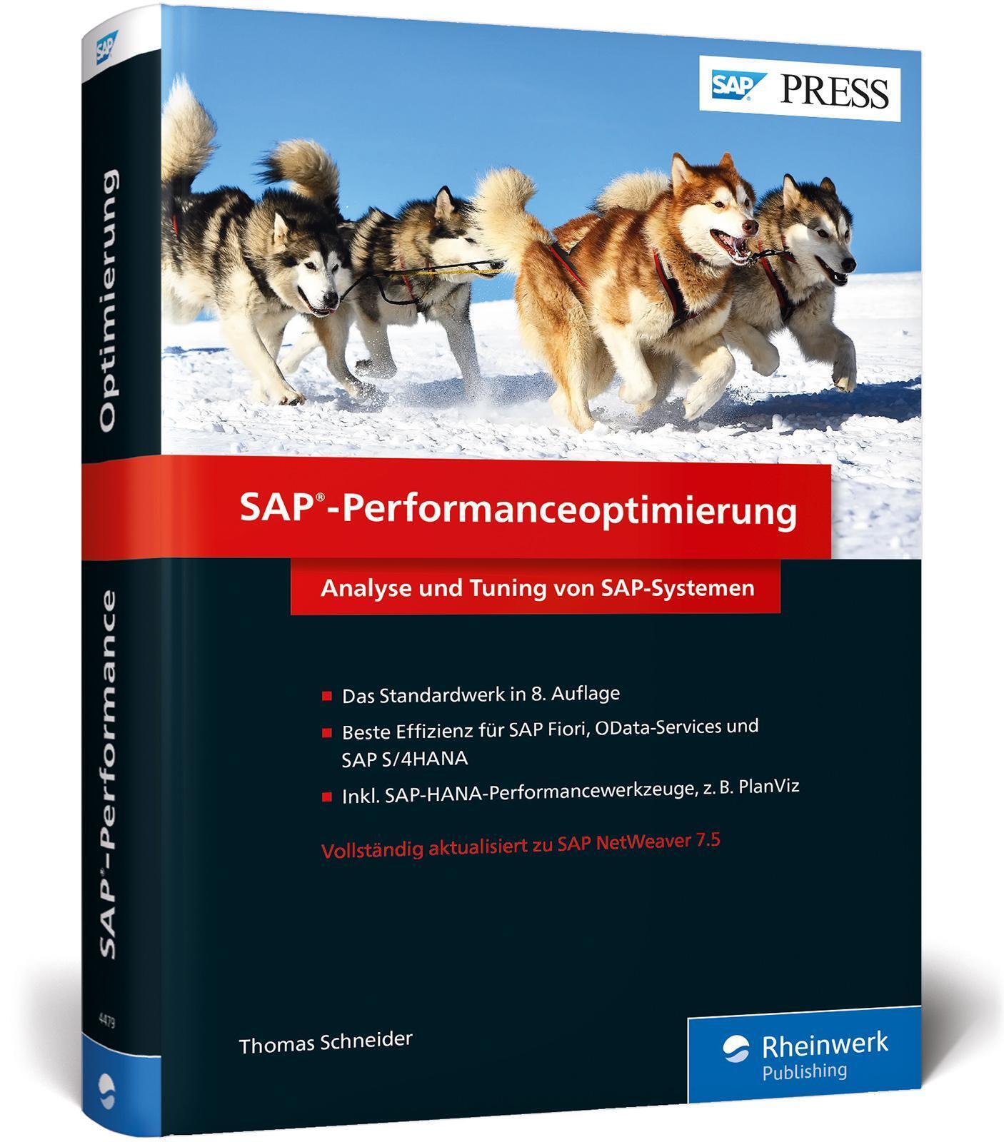 Thumbnail - Sap-performanceoptimierung Thomas Schneider Buch Sap Press 867 S.