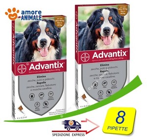 advantix 60 kg