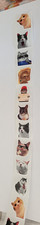 ROULEAU 500 AUTOCOLLANTS CHAT  ! NEUF !