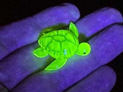 Uranium Vaseline Sea Turtle - Hand Made Piece Wow Wow