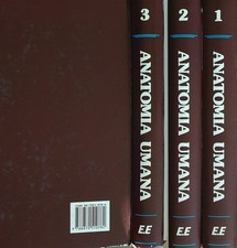 ANATOMIA UMANA 4VV AA.VV. EDI ERMES 1993  RILEGATO