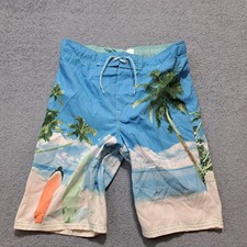 Oshkosh B’gosh Surf Board Graphic Swim Trunks Boys Size 14 Blue Drawstring Lined