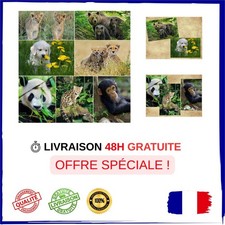 Lot 7 Cartes Postales Lenticulaires 3D Bébés Animaux Edition Colibri
