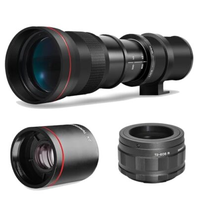 Wildlife Photography Best Sony Lens For Sports Best Wildlife 420