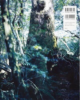 at  Yoshihiko Ueda 写真集 Yoshihiko Ueda Photo Book FOREST - Impressions and Memories 1989