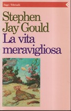 La vita meravigliosa