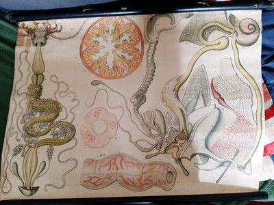 Wandtafel Vintage 
