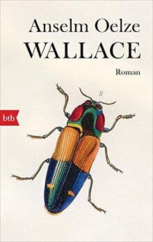 Wallace: Roman von Oelze, Anselm | Buch | Zustand gut