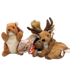 Lot Of 3 TY BEANIE BABIES - CHIPPER, NUTS, ROXIE -  EUC With Tags