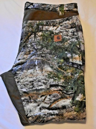 Carhartt Men's Buckfield Hunting Pants 