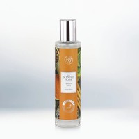 Ashleigh & Burwood Raumspray Oriental Spice 100Ml