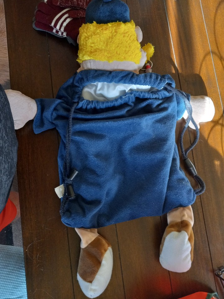 Picture of Bernie Sanders Ornament, Christmas Decoration Bernie Holding Cat