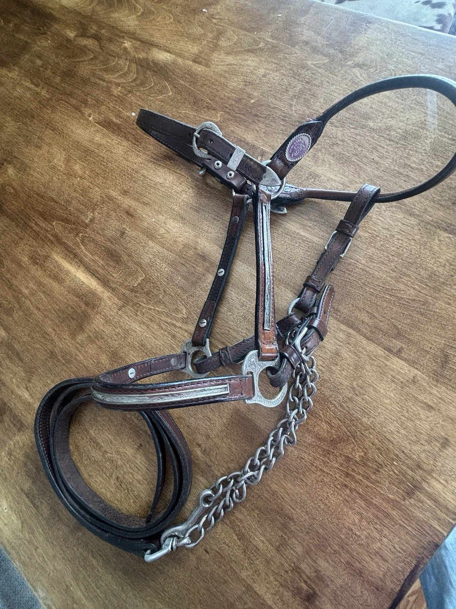 Licol De Présentation Circle Y Silver Show Taille Cheval - Cuir Teint Foncé - Occasion