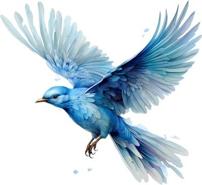 Bunter Fantasy fliegender Vogel Wandbild Schlafzimmer Dekor Vinyl Aufkleber Abziehbild 6 Größen