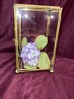 Vtg Poly Glass & Brass Display Case For Showcasing Collectables Hinged Door 7" T