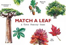 Match a Leaf: A Tree Memory Game by Tony Kirkham (English) Cards Book