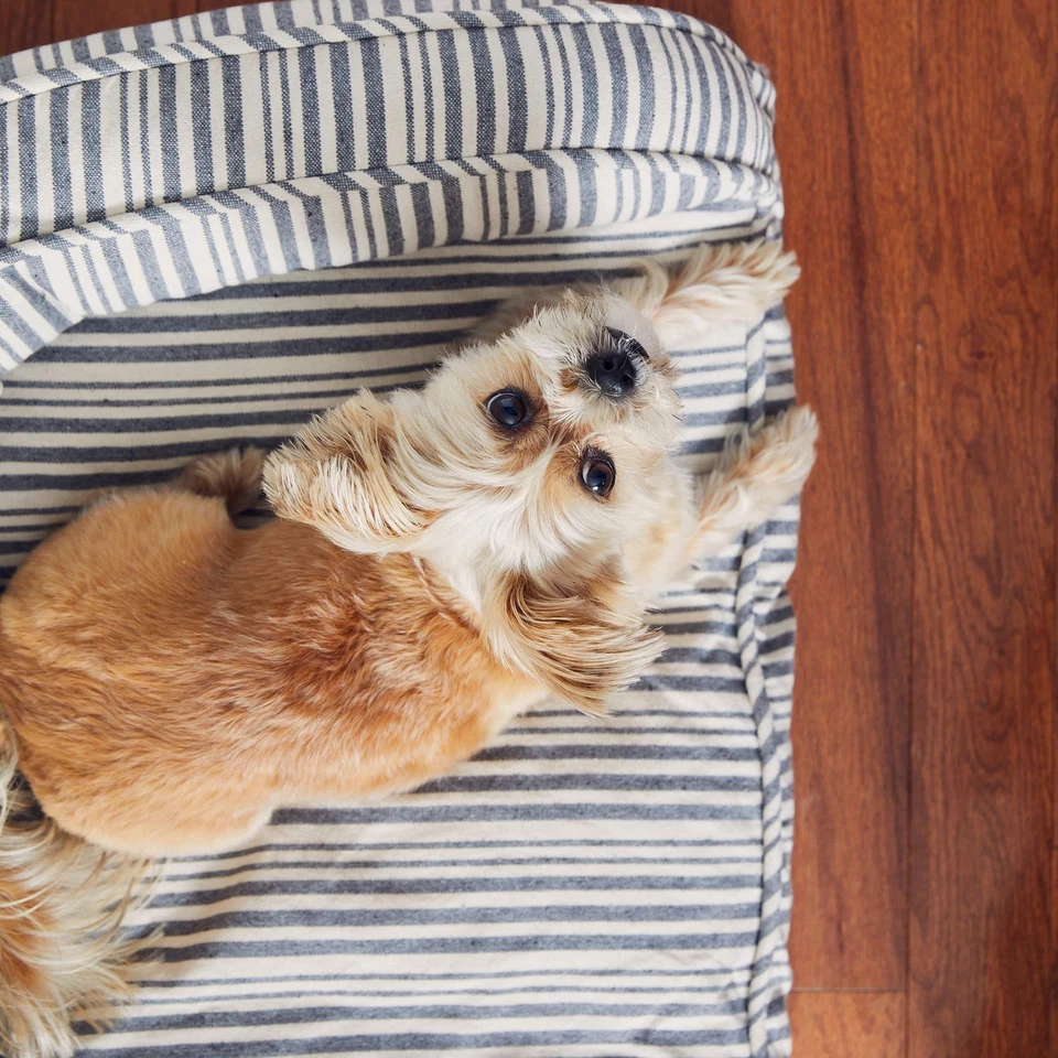 Tumbona Market Stripe - mediana Foto 3 de 3