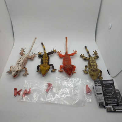 Ikimono Encyclopedia Advanced Crested Gecko Capsule Toy