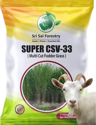 Grass Seebs 100G, High Yield Multi Cut Grass Seeb