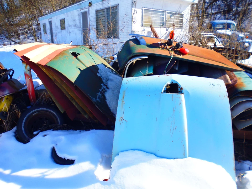 Puertas y capós delanteros Ford Skyliner,57. TU ELECCIÓN, buena Foto 2 de 4