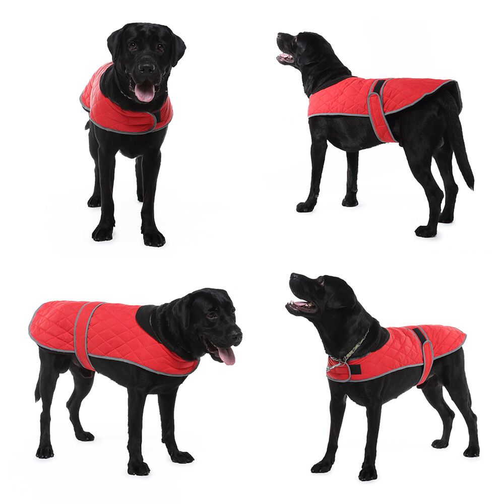 Waterproof Winter Dog Coat Vest Jacket Pet Warm Clothes Padded Small Large Dogs eBay