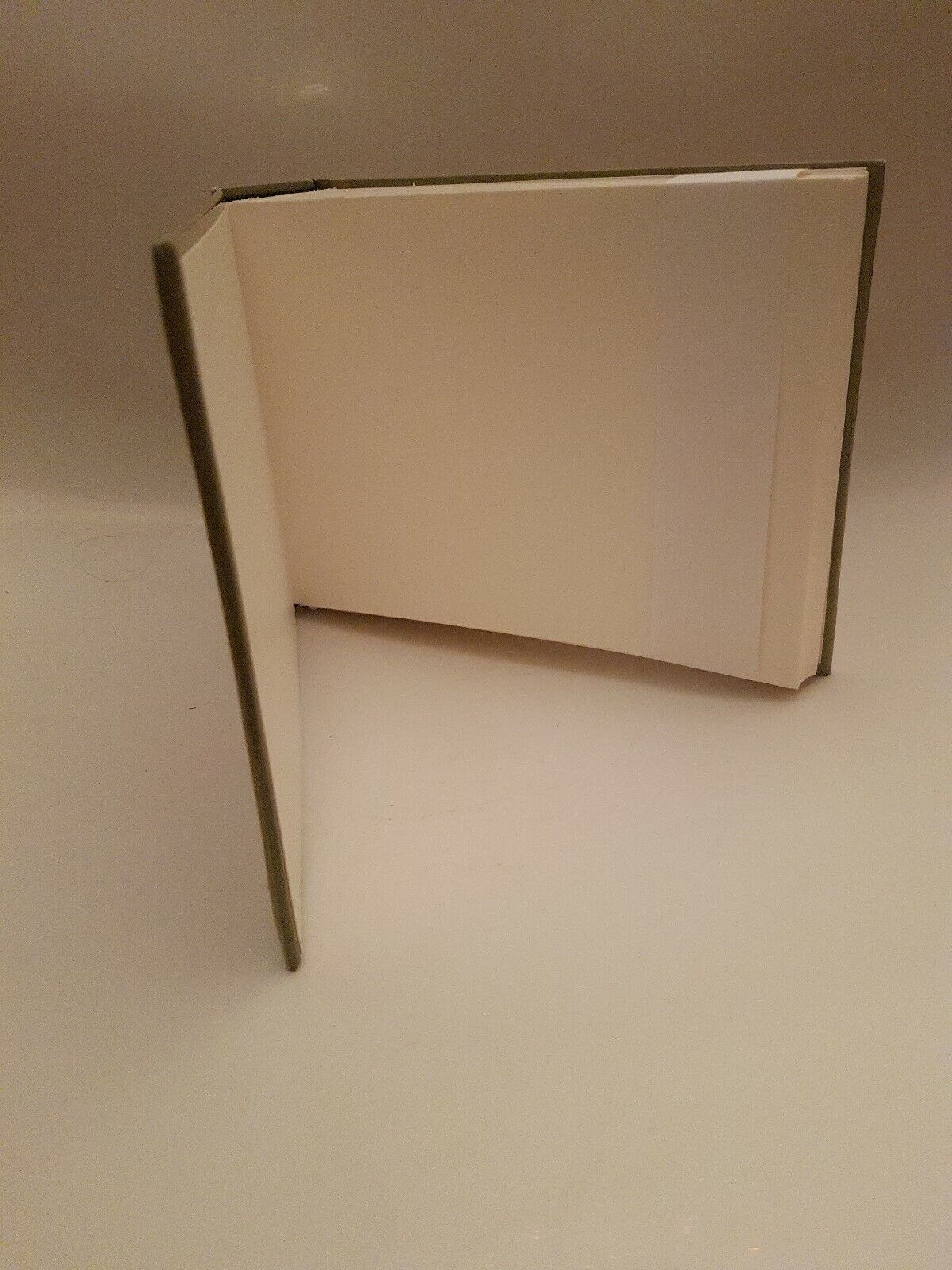 Picture 10 of 11