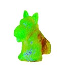 Boyd Glass’s Duke The Scottie Dog Figurine #11/2nd. in Orange Glow Slag, UV Pos — photo 6