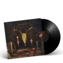 AETHER REALM - REDNECK VIKINGS FROM HELL - Vinyl Record - G1398z