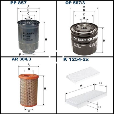 Filtron Filterset, Inspektionspaket für Ford MAVERICK MAVERICK VAN Nissan