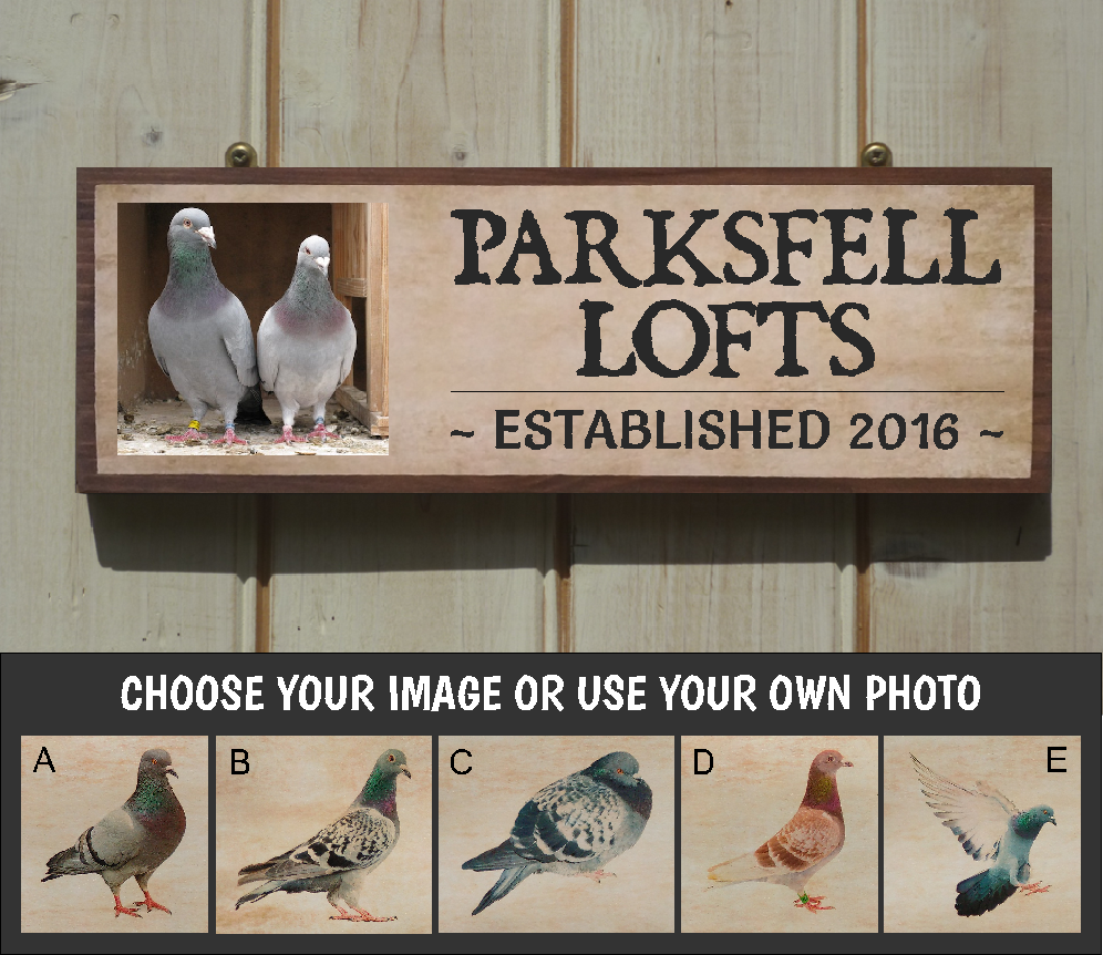 Simple Pigeon Loft Home To Roost: My Life As A Pigeon Fancier | Birds