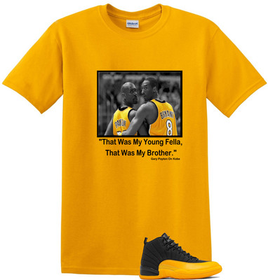 We Will Fit shirt for Jordan 12 