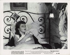 The She Wolf Lot of 6 Movie Stills VINTAGE 8x10 Kerima Ettore Manni
