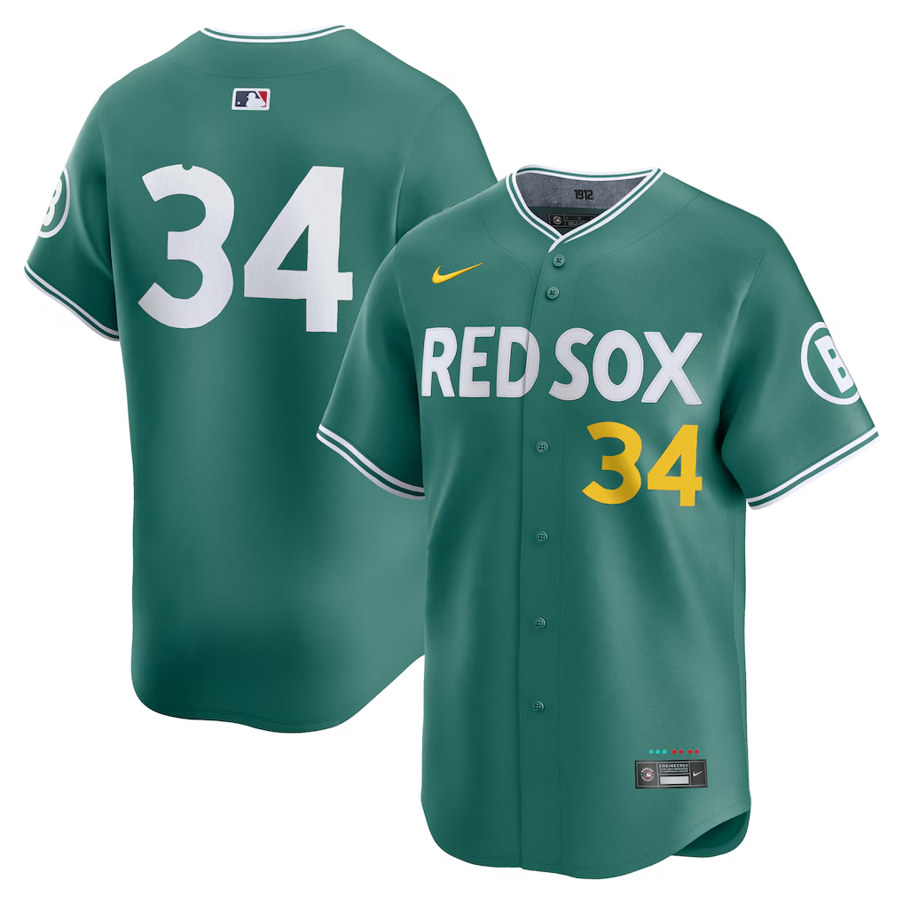 Nike David Ortiz City Connect Green Monster Red Sox Authentic