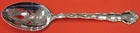 Tara by Reed and Barton Sterling Silver Serving Spoon Pierced Original 8 1/2"