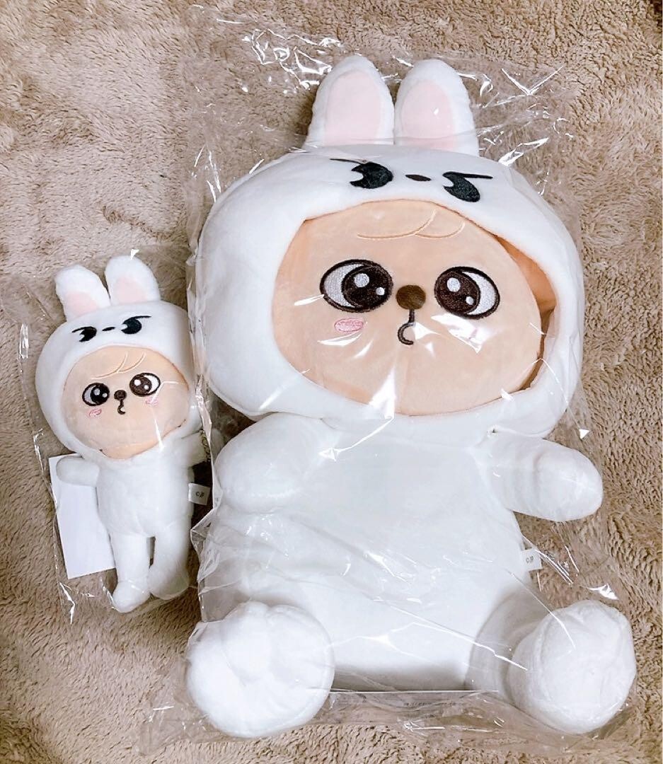 Stray Kids Fan Connecting 2024 SKZ TOY WORLD Hugging Plush & charm