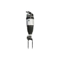 Luftfederbein Arnott Europe AS-3236 Links